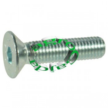 RUBA IMBUSOWA Z BEM STOKOWYM KL.10.9 12X30  