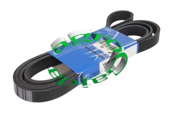 PASEK KLINOWY MICRO 6PK 2545  SKF