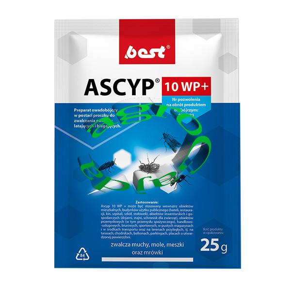 ASCYP W SASZETKACH 25 g.