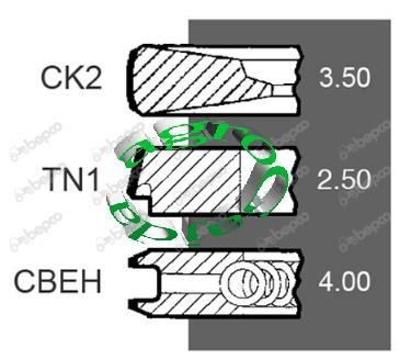 KOMPLET PIERCIENI TOKOWYCH 100 mm 3641316M91