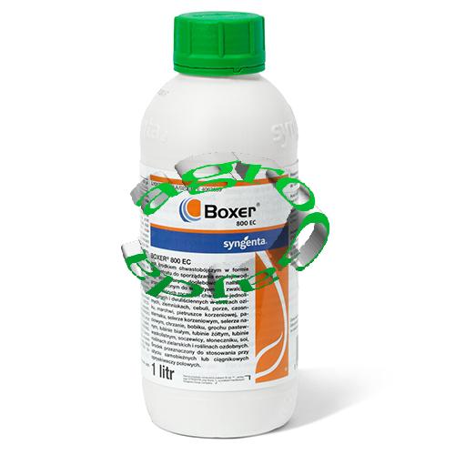 BOXER 800 EC 1L